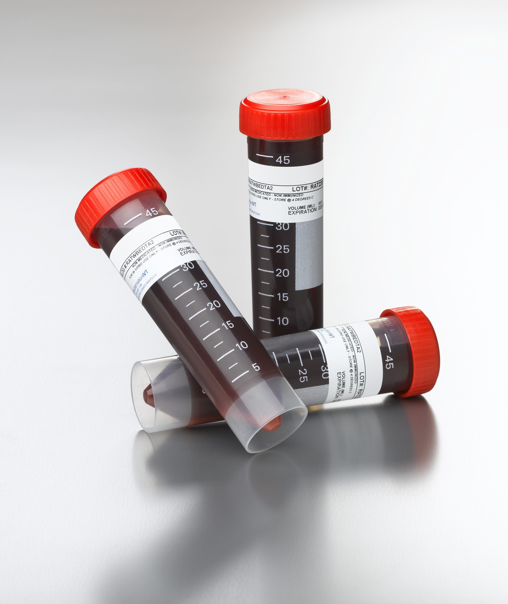 Marrow-Blood_learn more Marrow-Blood_learn more